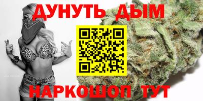 скорость Гатчина